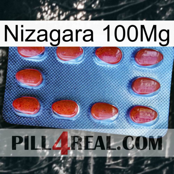 Nizagara 100Mg 06.jpg